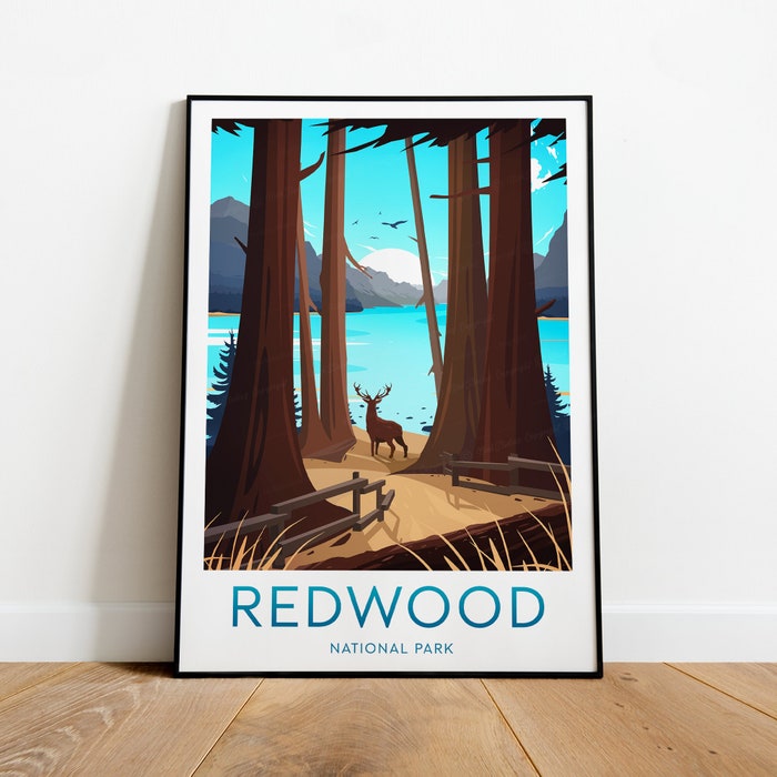 Redwood National Park Travel Canvas Poster Print - California Redwood Poster National Park Prints