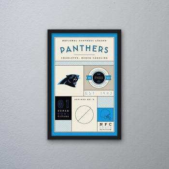 Carolina Panthers Stats Canvas Poster Print - Wall Art Decor