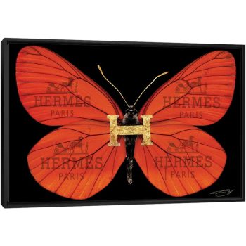 Fly As Hermes - Black Framed Canvas