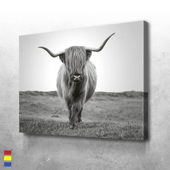 Scottish Bull and the Beauty of Animals in Nature Canvas Poster Print Wall Art Decor