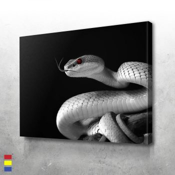 The Snake's Lightning Strikes and a Look into Rattle Snakes' Impressive Speed Canvas Poster Print Wall Art Decor