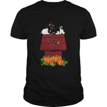 Arizona Cardinals Snoopy Pumpkin House Unisex T-Shirt Kid T-Shirt LTS778