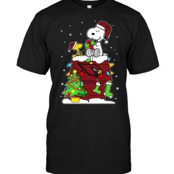 Arizona Cardinals Snoopy & Woodstock Christmas Unisex T-Shirt Kid T-Shirt LTS787
