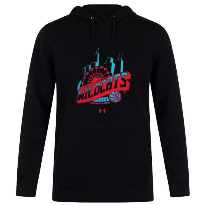 Northwestern Wildcats Under Armour Chicago Cityscape Champion Keough Naughton Unisex Pullover Hoodie