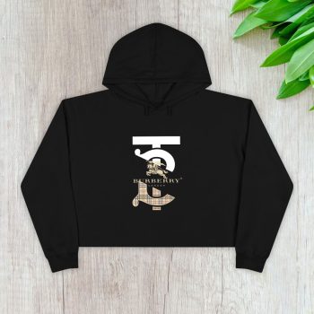Burberry London Logo Luxury Crop Pullover Hoodie For Lady CPH1070